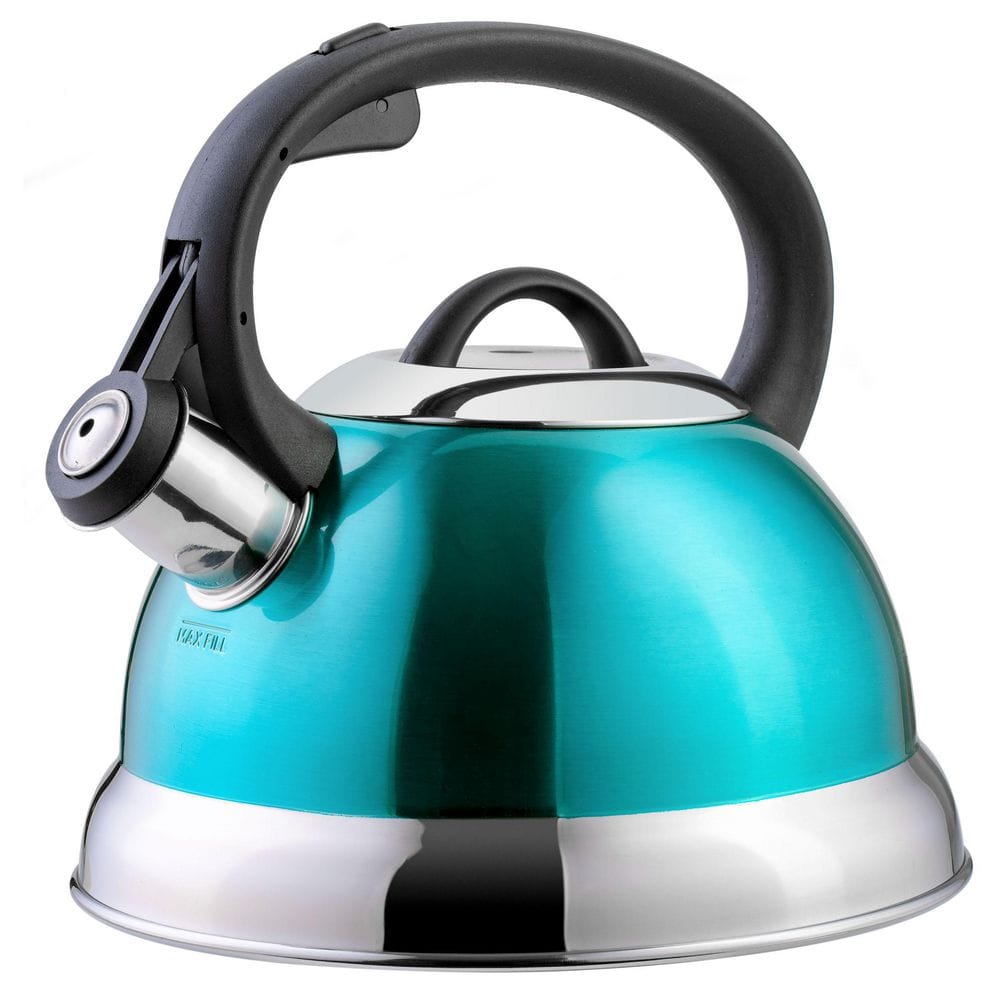 Whistling Stovetop Tea Kettle Stainless Steel, Hot Water Fast to Boil, Cool  Touch Folding, 5000ML, Brushed with Blue Handle