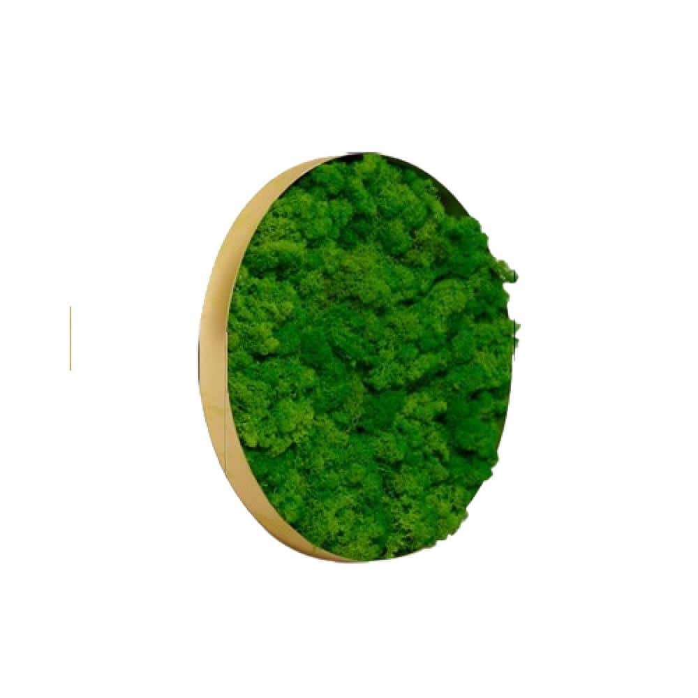 Delicate Iron Metal Frame Green Round Framed Moss Wall Decor Metal Work Fusion of Nature and Art, Only The Medium Piece price history on PriceWatchPro
