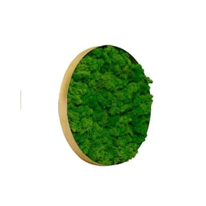 Delicate Iron Metal Frame Green Round Framed Moss Wall Decor Metal Work Fusion of Nature and Art, Only The Medium Piece