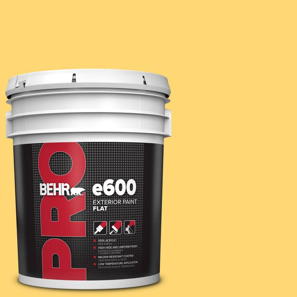 5 gal. #PPU6-13 Hawaiian Pineapple Flat Exterior Paint price history on PriceWatchPro
