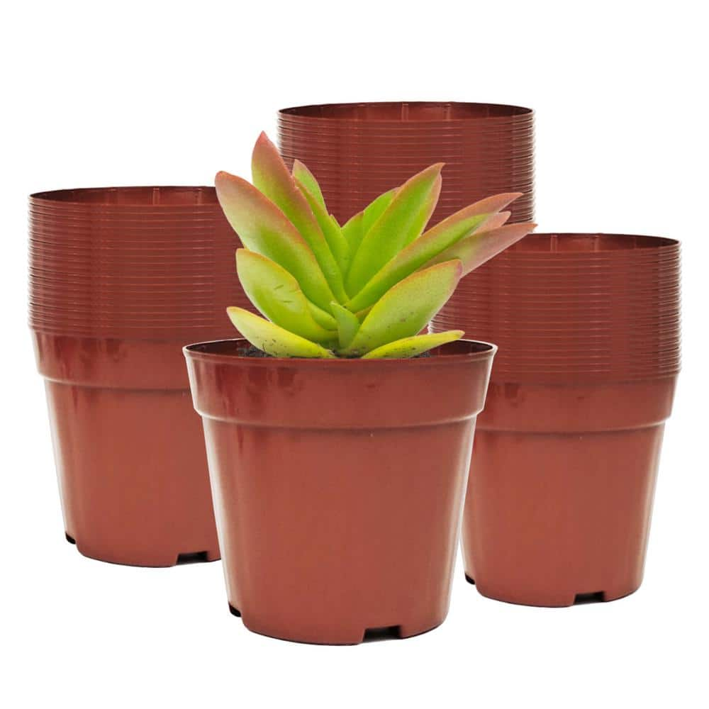 Wholesale Plastic Flower Pots At Cheap Price - Brice Gardening