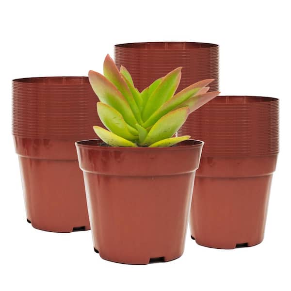 Agfabric 4 in. x 3.5 in. Red Plant Pots Small Plastic Plants Nursery Pots Seedling Plant Container Seed Starting Pots (50-Pack)