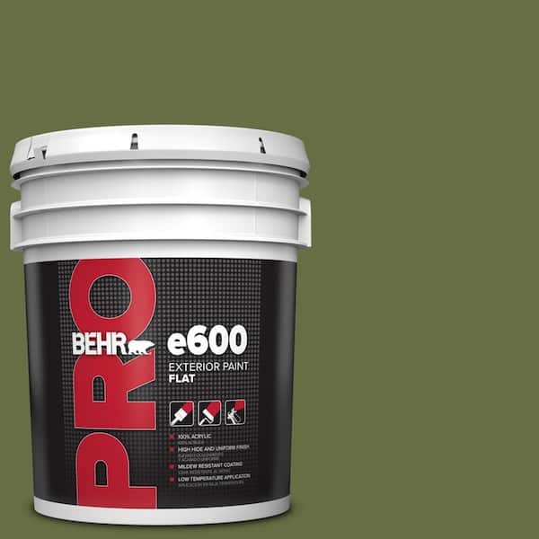 BEHR PRO 5 gal. #MQ6-62 Coconut Grove Flat Exterior Paint