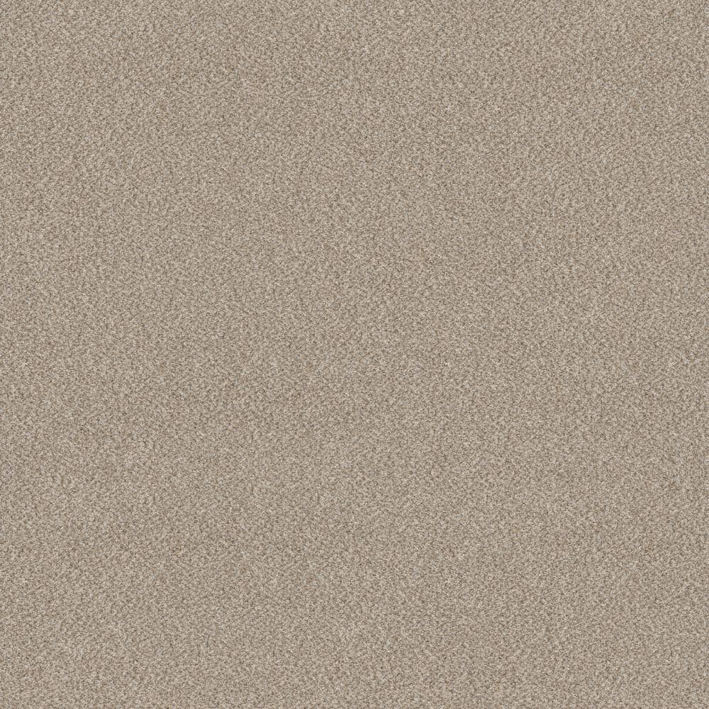 8 in x 8 in.  Texture Carpet Sample - Columbus II - Color Daytona Sand price history on PriceWatchPro