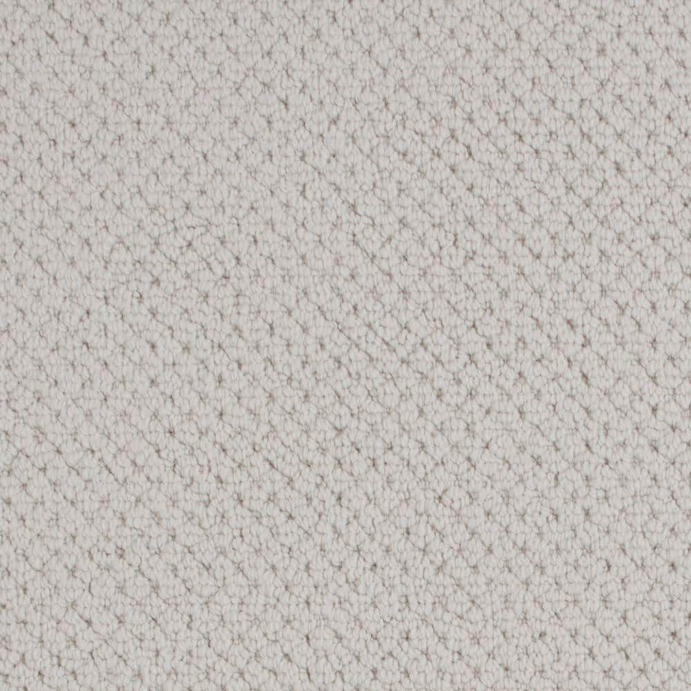 8 in. x 8 in. Pattern Carpet Sample - Abbotts Gate -Color Glam price history on PriceWatchPro
