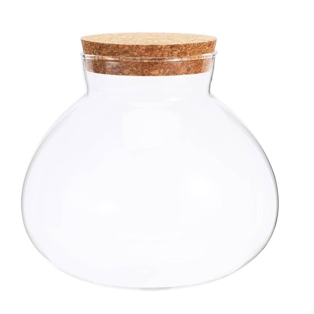 "6"" x6.3"" Glass Terrarium Jar with Cork Lid, Closed Planter for Succulent Moss Fern, Desktop Garden Decor" price history on PriceWatchPro