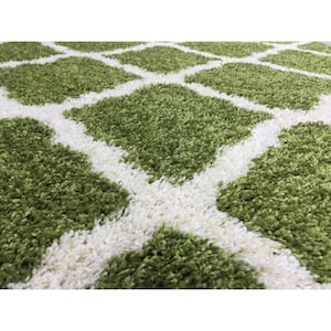 Shaggy Soho Green 3 ft. x 5 ft. Trellis Synthetic Rectangle Area Rug