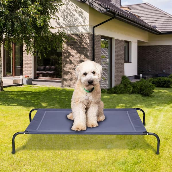 Extra Large Gray Textilene Black Metal Elevated Pet Bed Comfort Cot God Bed