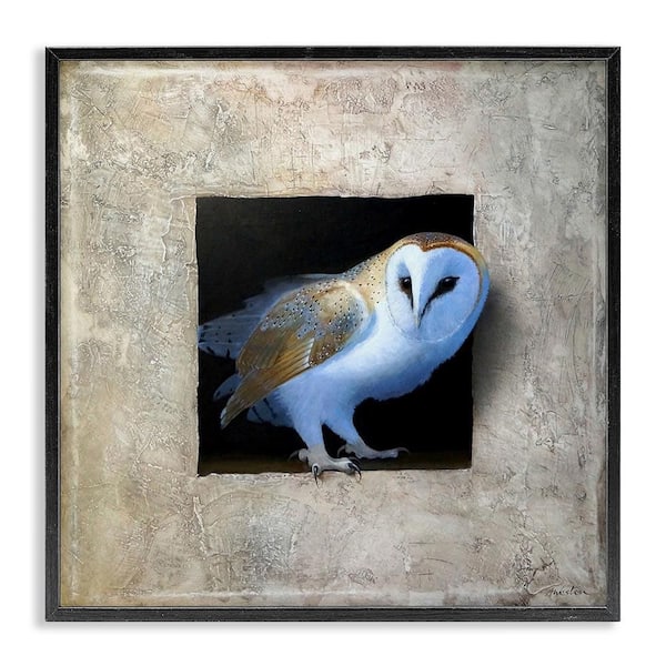 Mysterious Barn Owl Peering by Alan Weston Black Framed Giclee Art Print Animal 17 in. x 17 in.
