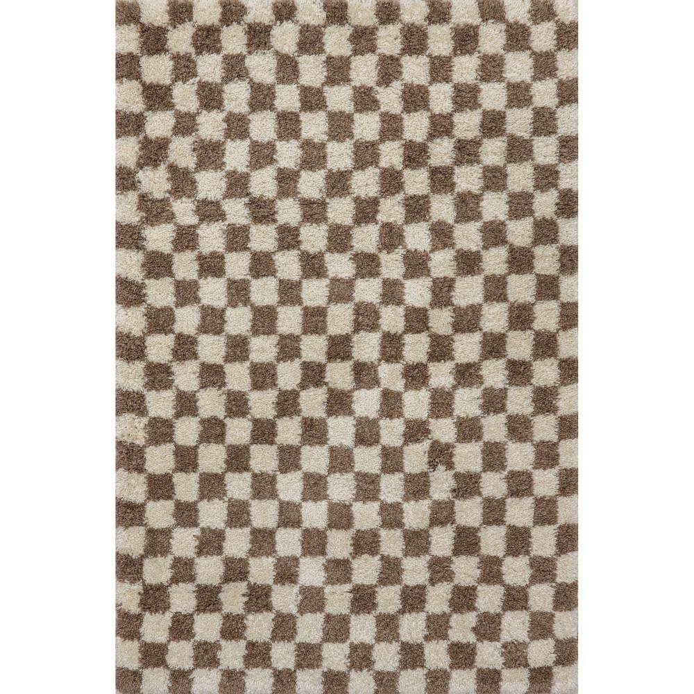 Beige and Brown Checkered Rectangular Shag Rug 3x5