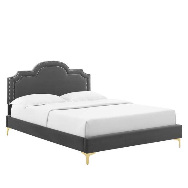 MODWAY Aviana Brown Performance Velvet Frame King Platform Bed with Gold Metal Legs with Foot Caps