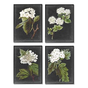 Charming White Cottage Florals Charcoal Grey By Vision Studio 4-Piece Framed Print Nature Texturized Art 16 in. x 20 in.