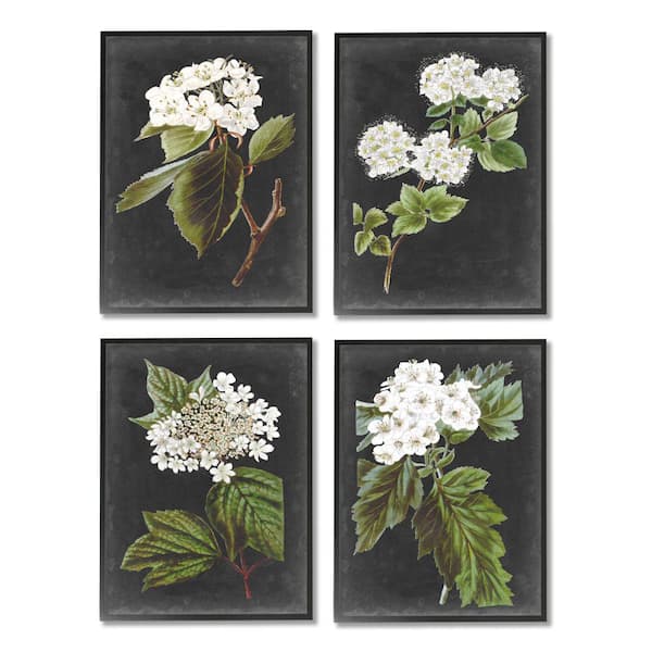 Charming White Cottage Florals Charcoal Grey By Vision Studio 4-Piece Framed Print Nature Texturized Art 11 in. x 14 in.