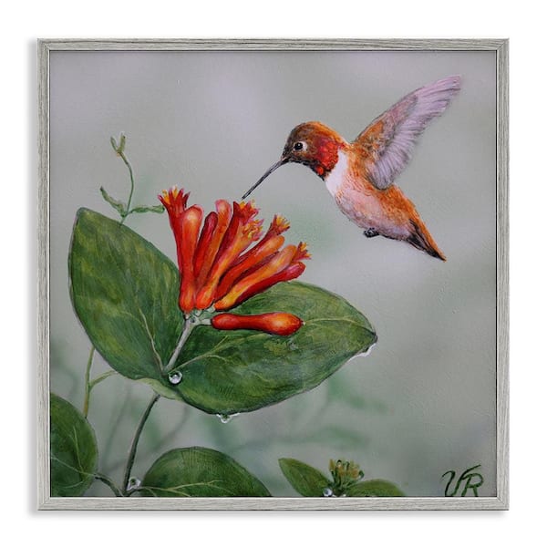 Stupell Industries Red Hummingbird & Flower by Valerie Rogers Gray Framed Animal Giclee Art Print 24 in. x 24 in.
