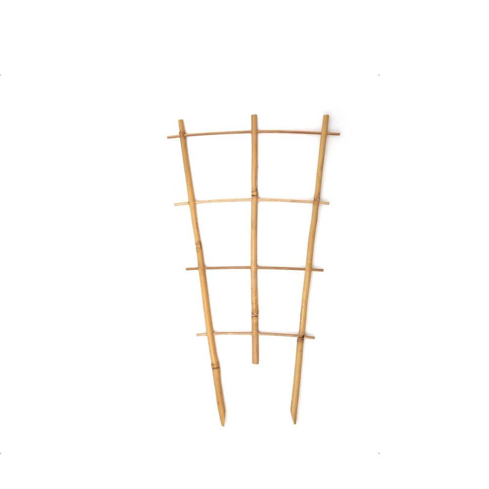 Cubilan 3-Pack 16 in. Bamboo Fan Trellis for Climbing Plants, Indoor ...