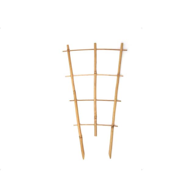 3-Pack 16 in. Bamboo Fan Trellis for Climbing Plants, Indoor Plant Support for Potted Monstera, Hoya, Orchid, and Vines