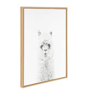 33 in. x 23 in. "Hairy Alpaca" by Tai Prints Framed Canvas Wall Art