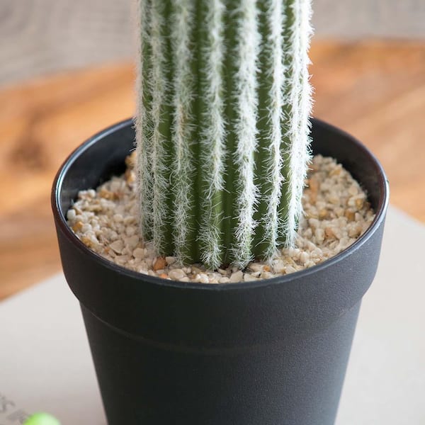 24.5 in. Green Indoor Succulent Artificial Cactus, Artificial