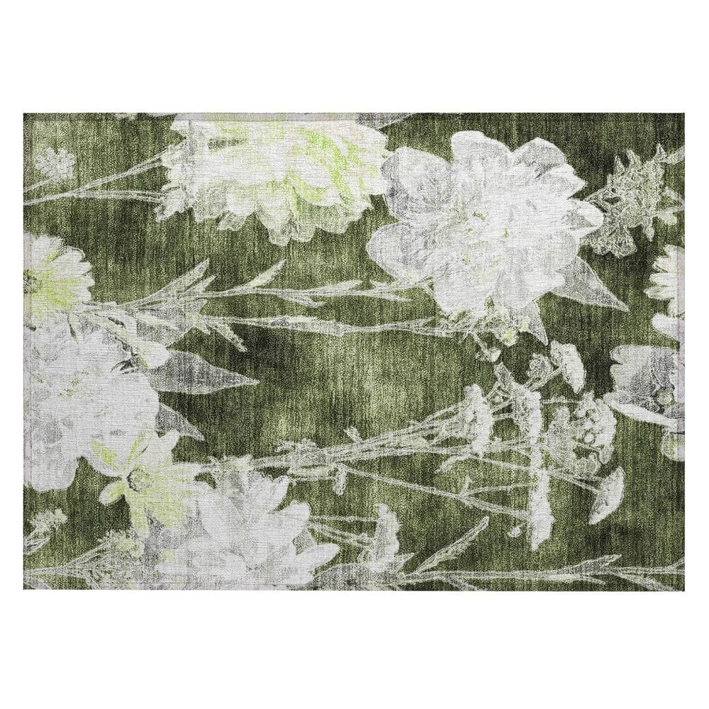 Chantille Machine Washable Indoor/Outdoor Abstract ACN2796 Olive 3 ft. x 4 ft. Area Rug price history on PriceWatchPro