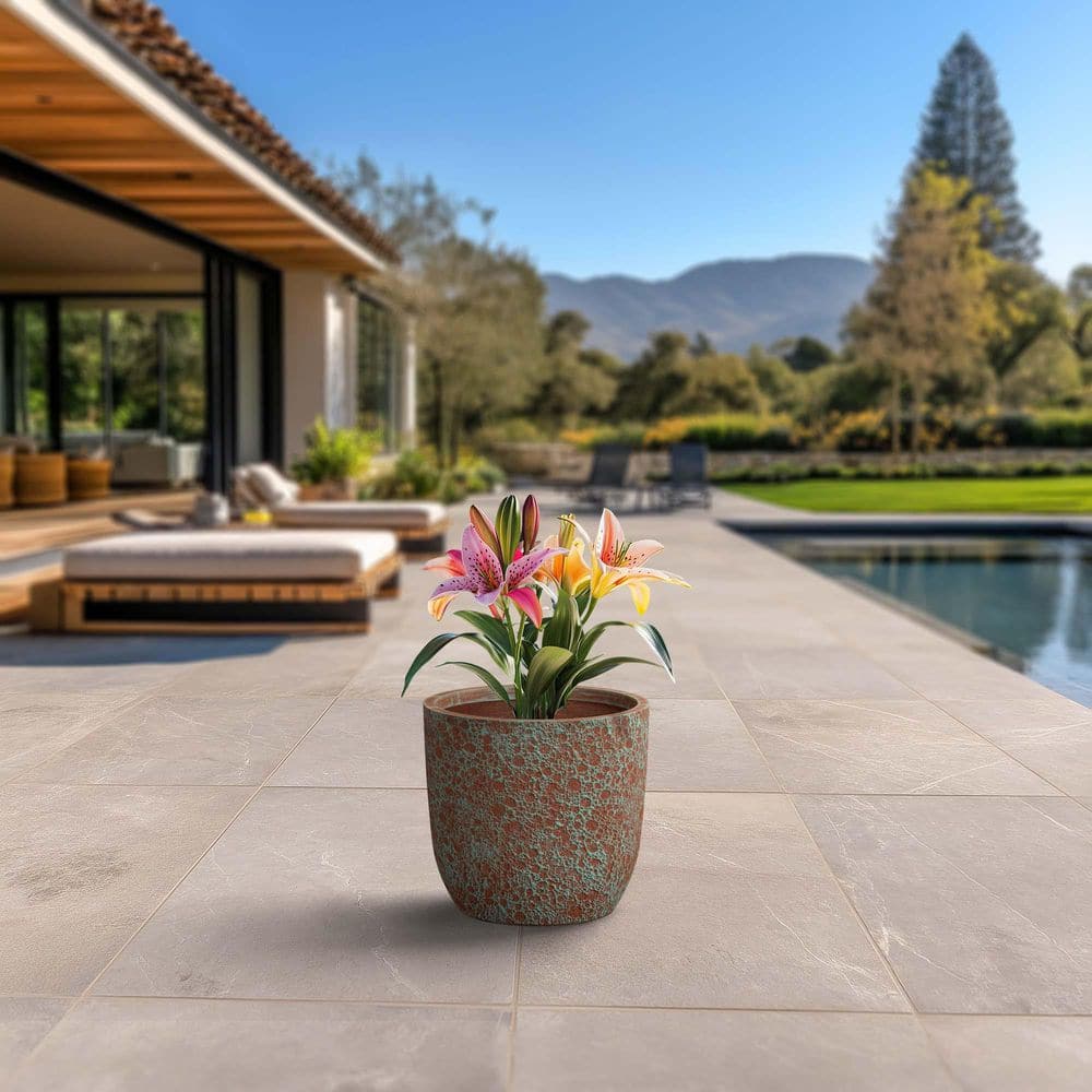 14 in. Medium Muted Teal (Enhanced Interior) Concrete Round Planter / Pot with Drainage Holes price history on PriceWatchPro