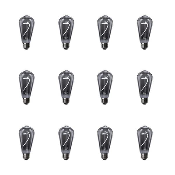 Feit Electric 25-Watt Equivalent B10 Dimmable Candelabra Smoke Glass Vintage LED Light Bulb with Spiral Filament Daylight (12-Pack) Feit Electric 25-Watt Equivalent B10 Dimmable Candelabra Smoke Glass Vintage LED Light Bulb with Spiral Filament Daylight (12-Pack)