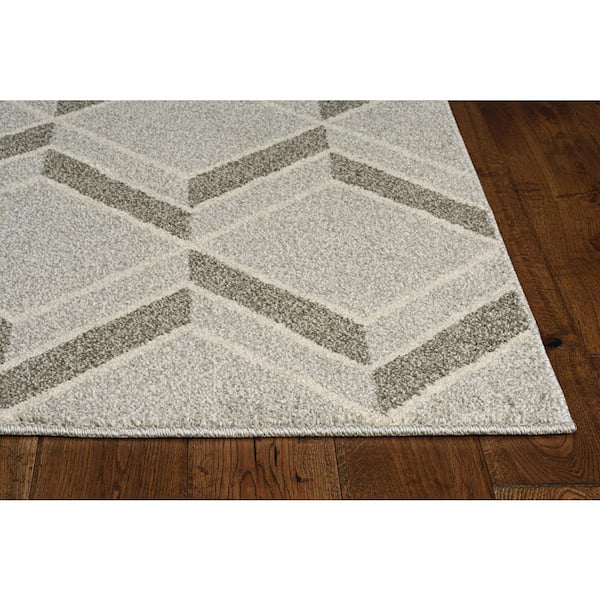 Nova Gray 8 ft. x 10 ft. Chevron Bohemian Outdoor Rug Area Rug