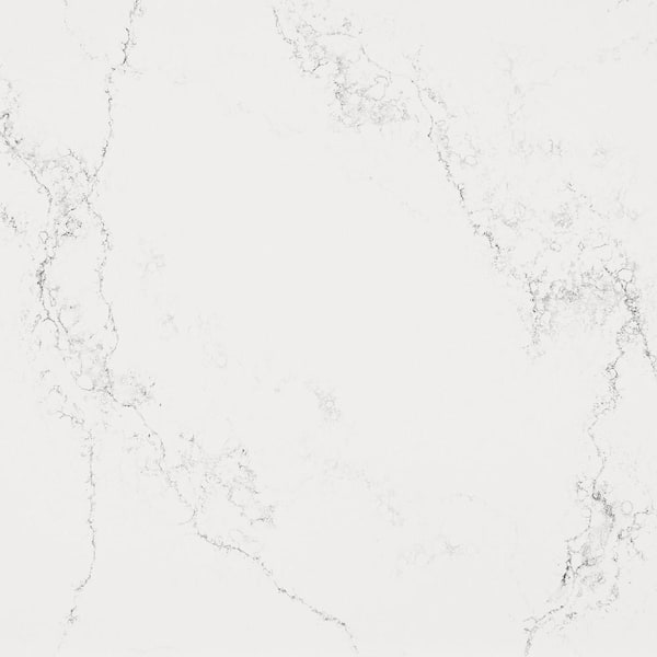 Caesarstone 2 in. x 7 in. Qt. Countertop Sample in Empira White 5151 ...