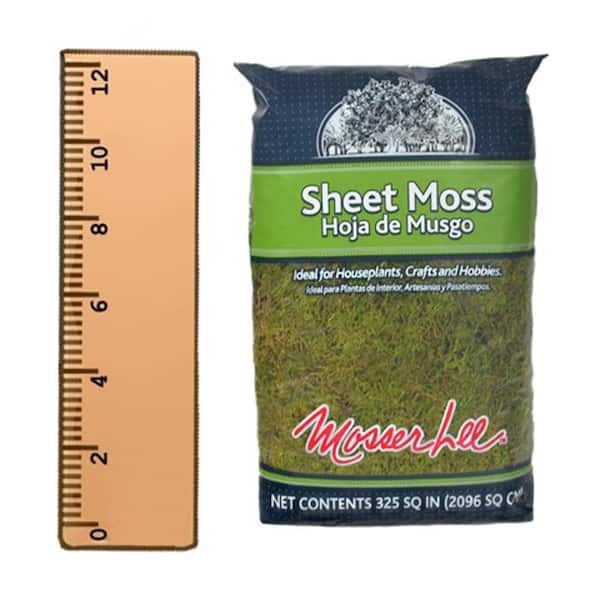 Live Sheet Moss, 1 quart bag, Terrarium moss, Live Sphagnum Moss
