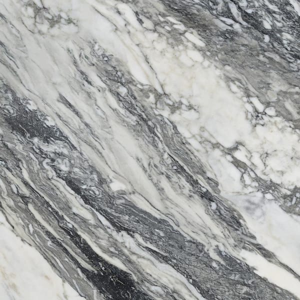 Daltile Lamora Nero Marble 24 in. x 24 in. Matte Porcelain
