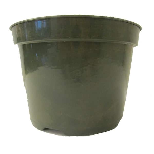 Niu 6 in. Green Plastic Nursery Pot