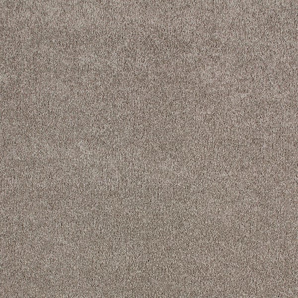 Cleoford Gravel Road Gray 47 oz. Triexta Texture Installed Carpet
