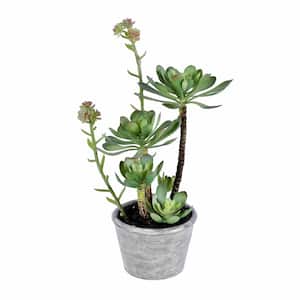13 .5 in Artificial Green Succulent, Paper Pot.