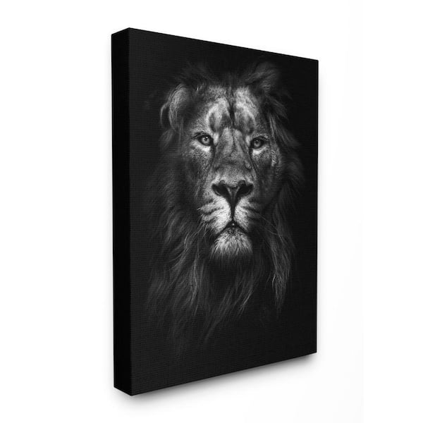 30 in. x 40 in. "King of the Jungle Lion In Shadows Black and White Photography" by Design Fabrikken Canvas Wall Art