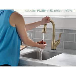 Leland Touch2O Technology Single Handle Bar Faucet in Champagne Bronze