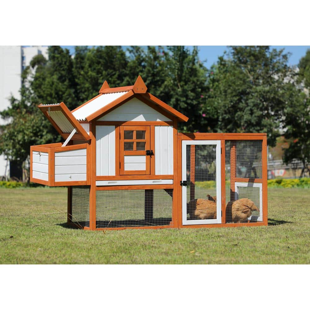 48.6 in. H Chicken Coop with Waterproof PVC Roof Removable Bottom for Easy 