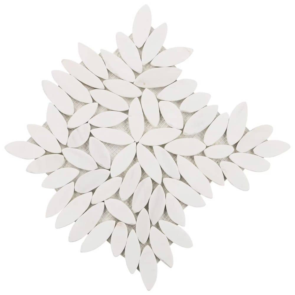 Countryside Flower Bianco Dolomite 5.9 in. x 0.31 in. Honed Marble Floor and Wall Tile Sample price history on PriceWatchPro