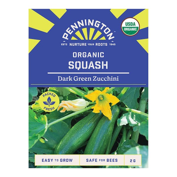 Organic Squash Dark Green Zucchini Fruit Seed