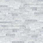 Cosmic Gray Ledger Panel 6 in. x 24 in. Natural Marble Wall Tile (6 sq. ft. /case)