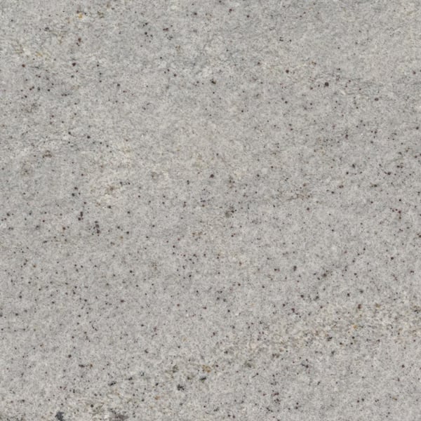 STONEMARK 3 in. x 3 in. Granite Countertop Sample in Himalaya White