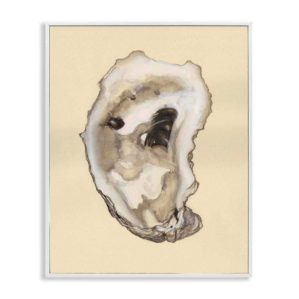 Natural Oyster Shell by Michael Willett White Framed Coastal Giclee Art Print 14 in. x 11 in. price history on PriceWatchPro