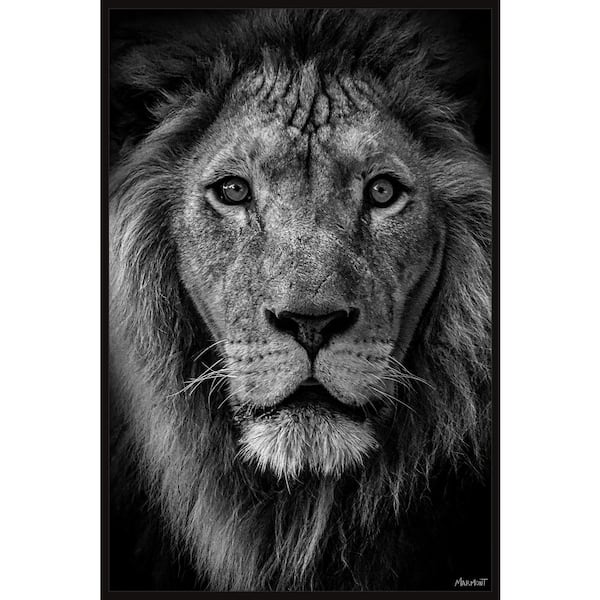 Unbranded "Enjoy the Silence" by Marmont Hill Floater Framed Canvas Animal Art Print 60 in. x 40 in.