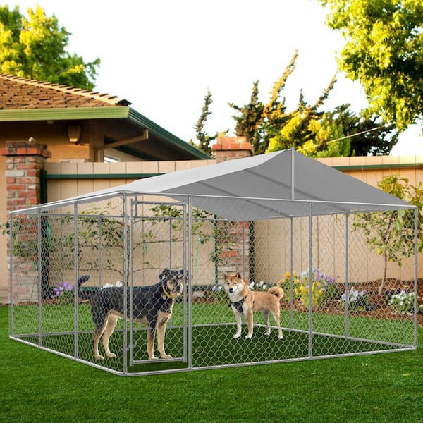 Heavy duty dog kennel best sale