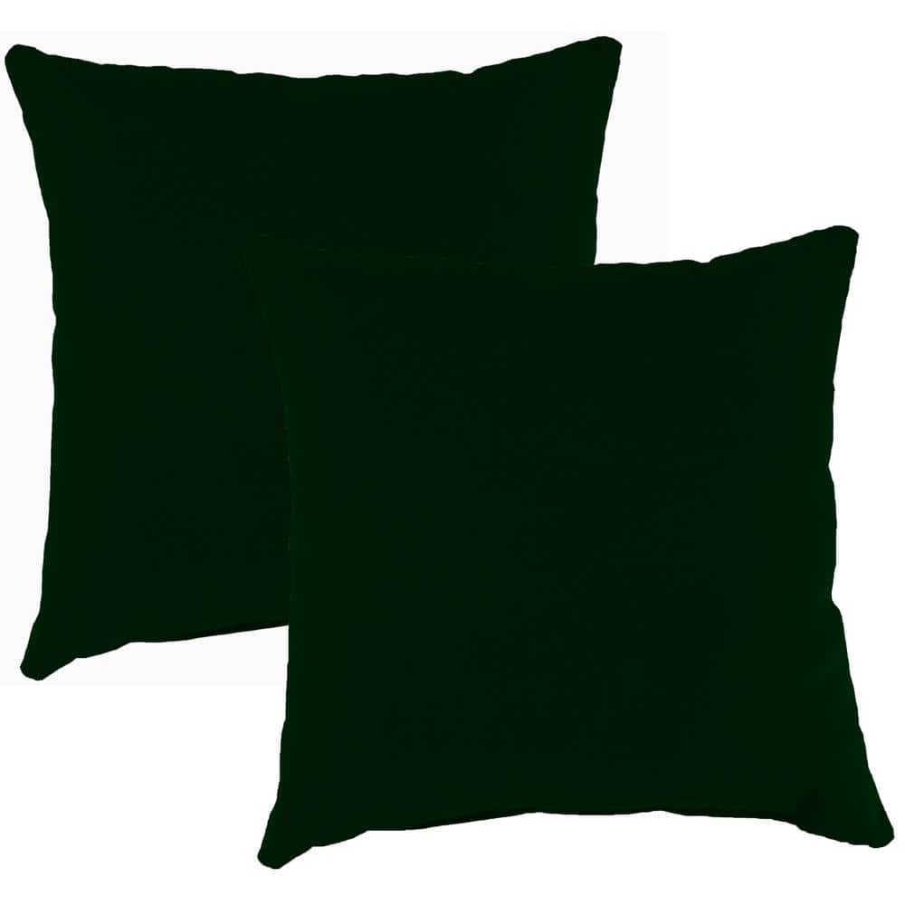 16 in. L x 16 in. W x 7 in. T Square Outdoor Throw Pillow in Forest Green (2-Pack) price history on PriceWatchPro
