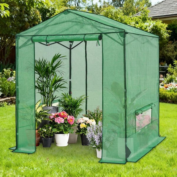 COOS BAY 8 ft. x 8 ft. Walk-In Pop-Up Gardening Greenhouse