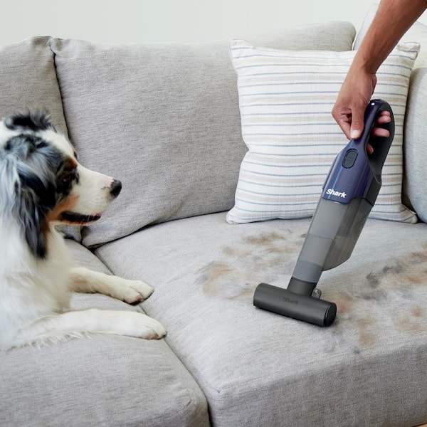 Handheld dog vacuum hot sale