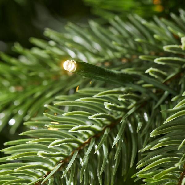 Buy 7.5 ft. Westwood Fir Christmas Tree Online at Lowest Price in India