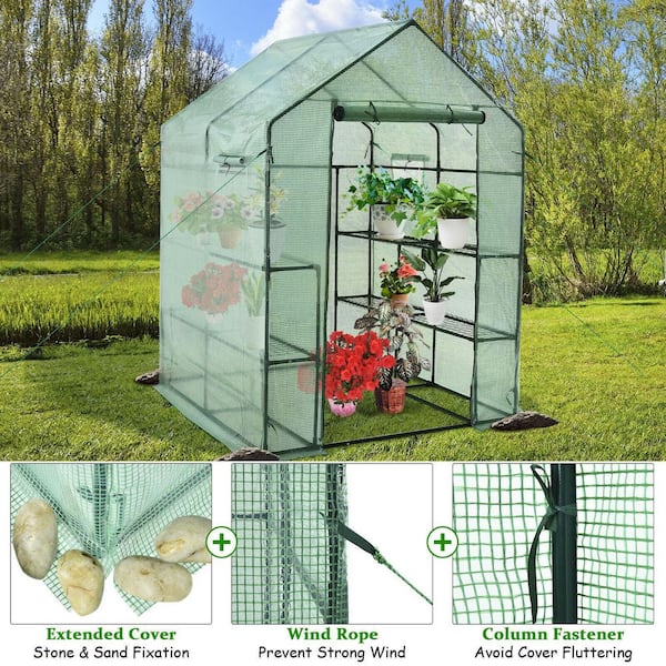 WELLFOR 56 in. W x 56 in. D x 77 in. H Outdoor Walk-in Greenhouse