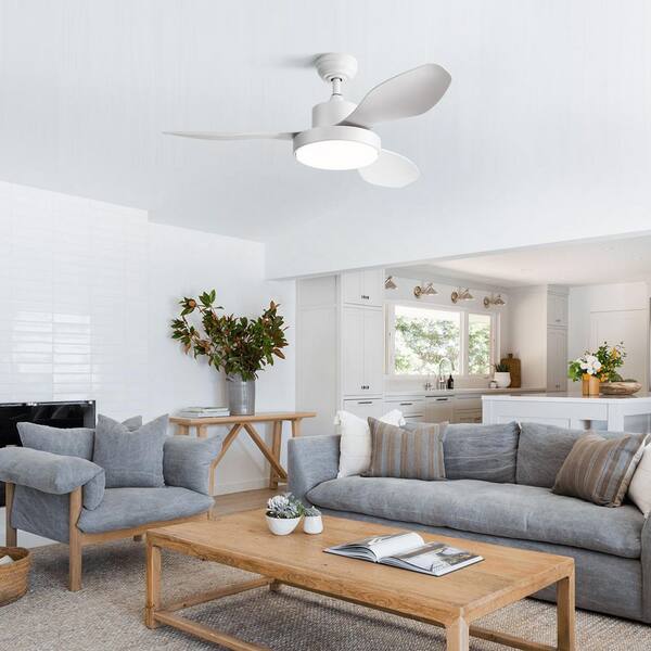 Atolit 42" Flush Mount Ceiling Fan With Light - Quiet DC Motor, 6 Speeds, 3 Color Temperatures, Remote Control