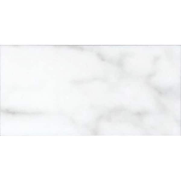 Apollo Tile White 3 in. x 6 in. Polished Marble Subway Tile Sample (0.12 sq. ft./Piece)