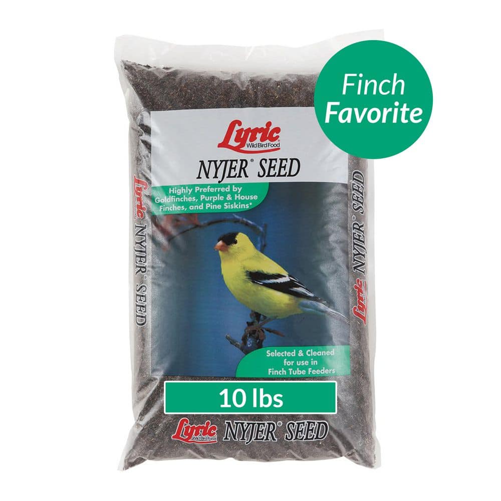 Lyric 10 lbs. Nyjer Seed Wild Bird Seed Finch Food 2647309 The Home Depot